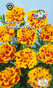 Тагетес Сивка-Бурка отклоненный купить