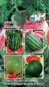 Арбуз Пацаны  купить