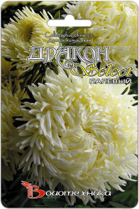 Астра Дракон селект Палевый  купить