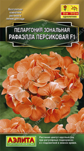 Пеларгония зональная Рафаэлла F1 персиковая купить