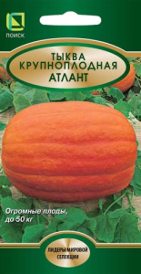 Тыква Атлант крупноплодная купить
