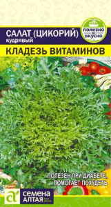 Салат (цикорий) Эндивий Кладезь Витаминов  купить