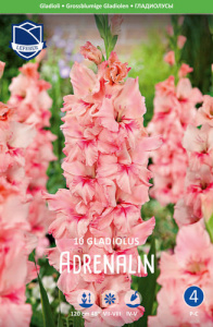 Гладиолус гофрированный Adrenalin /10шт купить