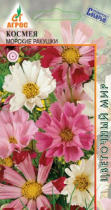 Космея Морские ракушки  купить