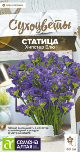 Статица Хипстер Блю  Сухоцветы купить