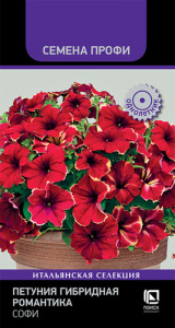 Петуния гибридная Романтика Софи  купить