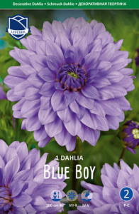 Георгина декоративная Blue Boy /1шт купить