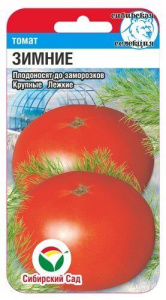 Томат Зимние купить