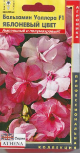 Бальзамин Уоллера F1  Яблоневый цвет купить