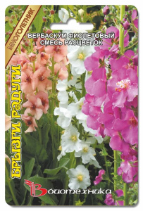 Вербаскум фиолет. Брызги Радуги смесь 300 шт купить