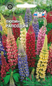 Люпин Рапсодия купить