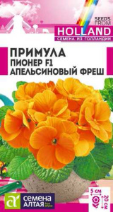 Примула Пионер Апельсиновый фреш  двулетник  купить