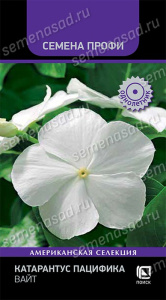 Катарантус Пацифика Вайт купить