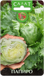 Салат Папиро  кочанный  купить