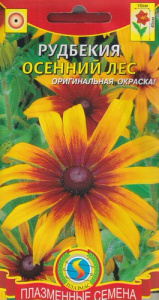 Рудбекия Осенний лес  купить
