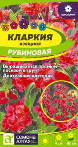 Кларкия Рубиновая изящная  купить