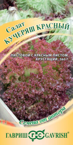 Салат Кучеряш красный автор. купить