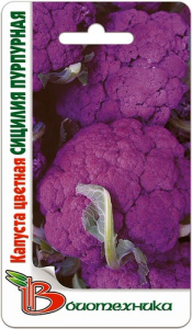 Капуста (цветная) Сицилия Пурпурная  купить