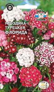 Гвоздика Флорида  купить