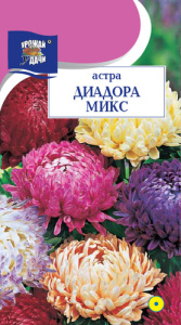 Астра Диадора Микс пионовидная купить
