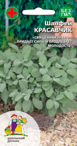 Шалфей лекарственный Красавчик купить