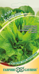 Салат Купидон листов. автор купить