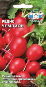 Редис Чемпион  купить