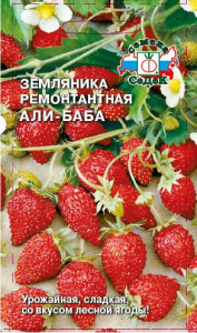 Земляника Али-Баба 0.04г (ремонтантная безусая) купить