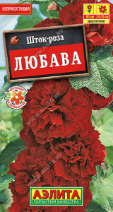 Шток-роза Любава  купить