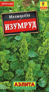 Молюцелла Изумруд  купить