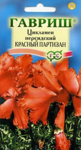 Цикламен персидский Красный партизан  купить