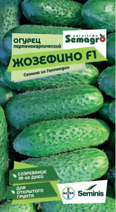 Огурец Жозефино F1  купить
