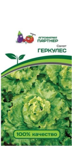 Салат Геркулес листовой  купить