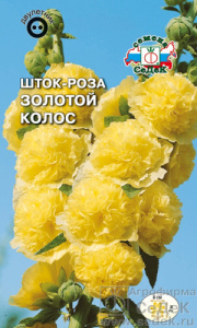 Шток-роза Золотой колос  купить