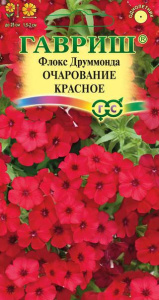Флокс Очарование красное друммонда купить