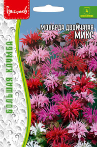 Монарда Микс двойчатая купить