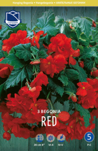 Бегония ампельная XXL Pendula RED /3шт купить