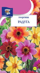 Георгина Радуга, смесь  купить