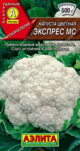 Капуста (цветная) Экспрес МС  купить