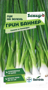Лук на зелень Грин Баннер купить