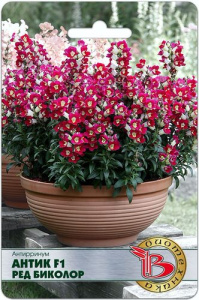 Антирринум Антик F1 Ред Биколор купить