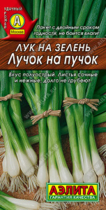 Лук Лучок на пучок на зелень купить