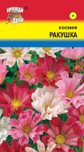 Космея Ракушка  купить