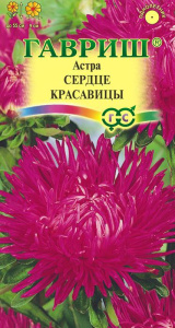 Астра Сердце красавицы  купить