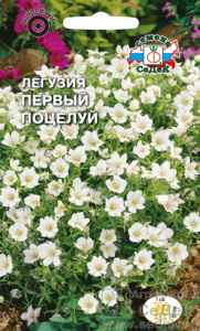 Легузия Первый поцелуй  купить