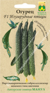 Перец Меценат  купить