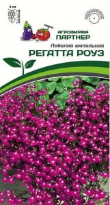Лобелия Регатта Роуз ампельная  купить