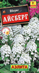 Иберис Айсберг однолетний  купить
