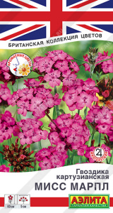 Гвоздика картузианская Мисс Марпл  купить