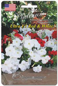 Петуния Ультра Ред &Уайт F1 Смесь купить